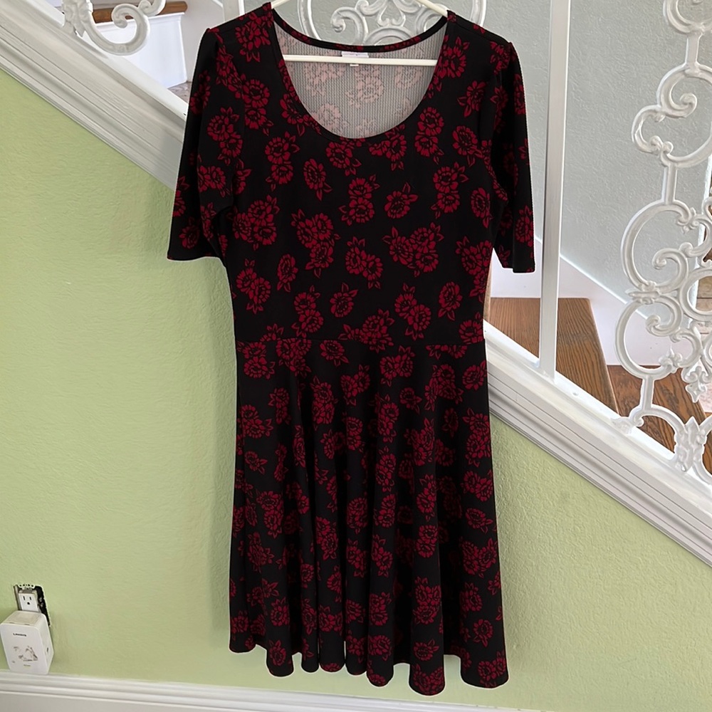 LuLaRoe LN Nicole Dress